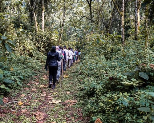 community-tour-bwindi